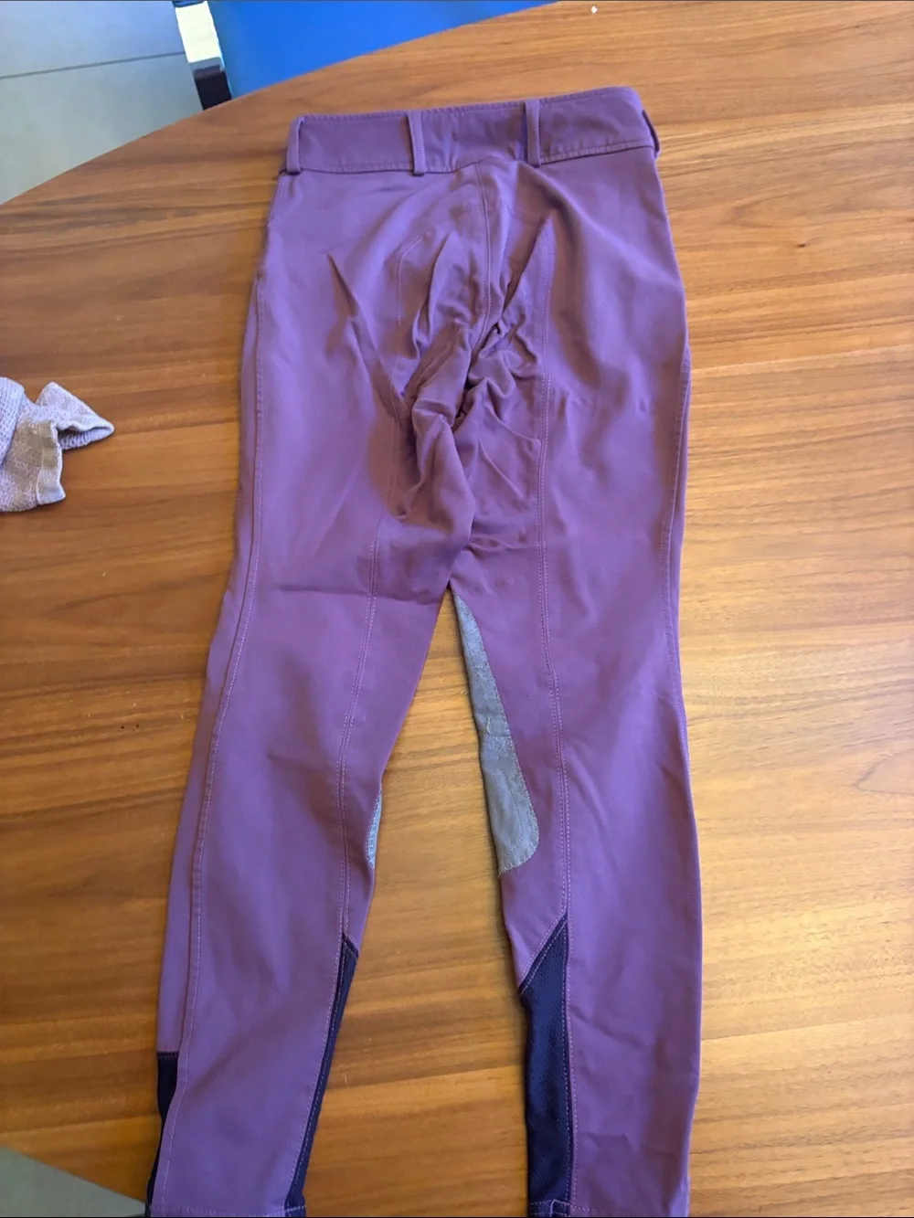 RJ Classics Plum Size 12 Children's Front Zip Breeches